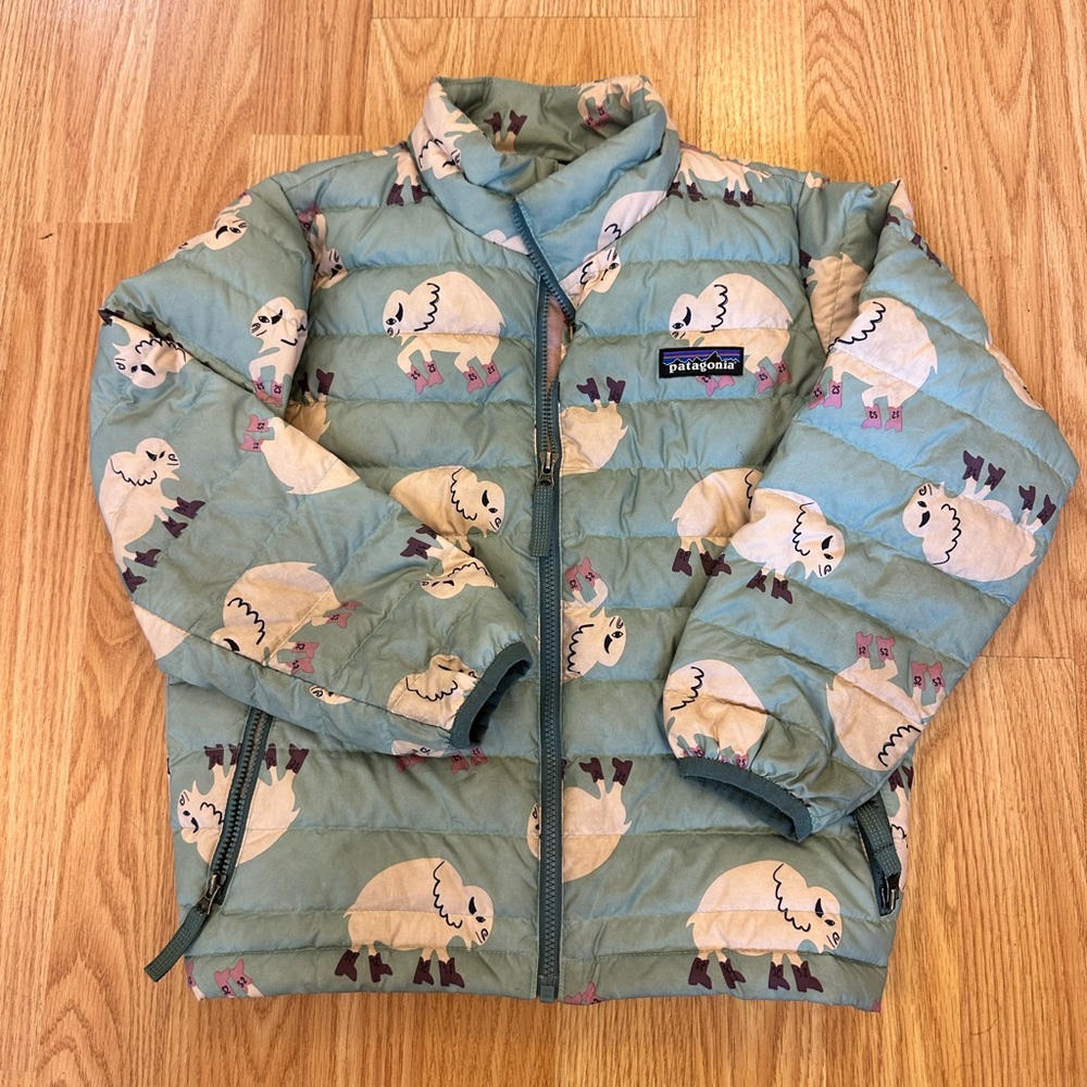 Patagonia Down Sweater Jacket / Kid